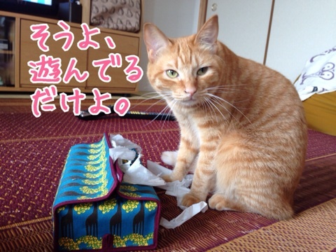 {DA4A672F-859A-4FEC-8219-406007588568:01}