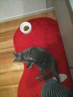 {983DBC04-DF6B-4CE4-9675-53D3B2F3FEAF:01}