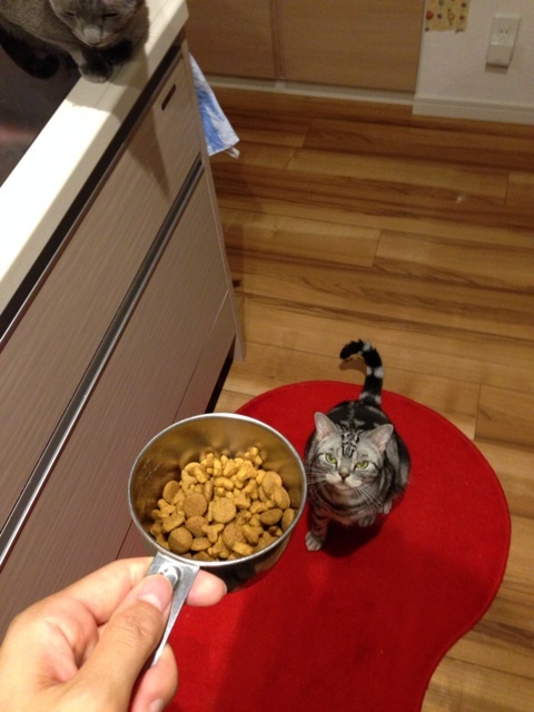 {9FA828DA-E96C-4AF9-B11F-3D4B91088DCA:01}