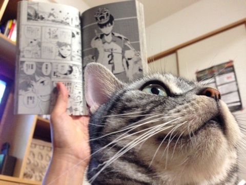 {A7B72AFD-4C27-4CB6-8344-0F2306CD1AAB:01}