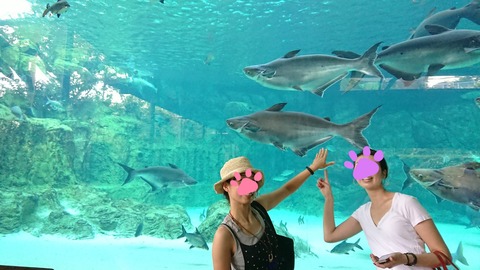 19-01-11-10-35-04-684_deco