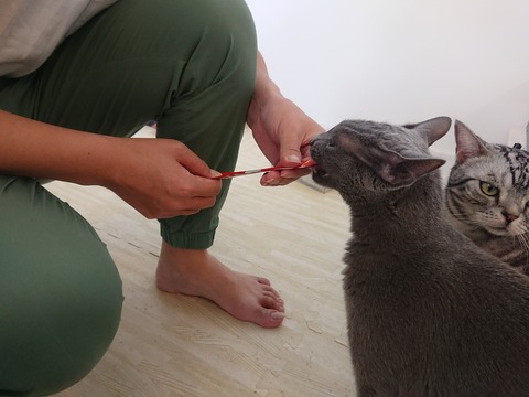 [画像:1e102995-s.jpg]