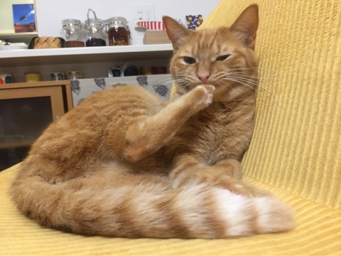 {F2736743-200F-40EF-980B-44311FD3C710:01}