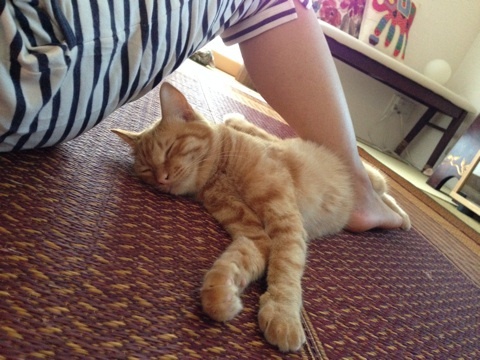 {E5632DAF-F876-4FDE-B181-131E883C5E79:01}