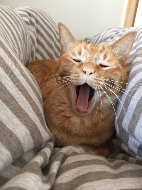 {EA7ABEC4-840A-4396-BDFD-5A285805645E:01}