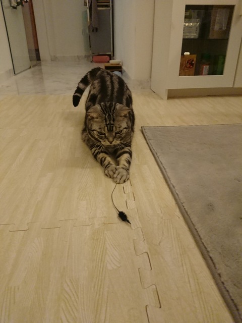 DSCPDC_0001_BURST20171229200930396