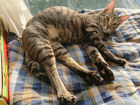 DSCPDC_0001_BURST20180926080819011