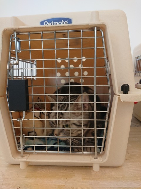 [画像:1f108199-s.jpg]