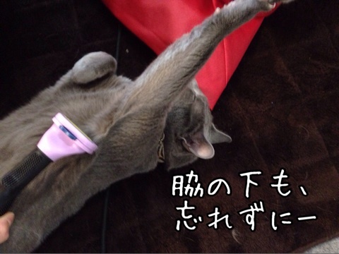 {0C4351A7-9038-4922-BDA8-3FD0D41060CA:01}