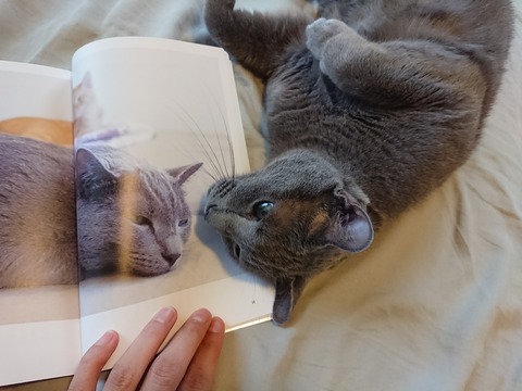 [画像:1fb52bd3-s.jpg]