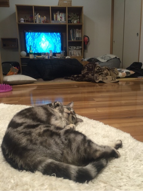 {7439BE6C-417C-46E2-BBB7-632BCFA16334:01}