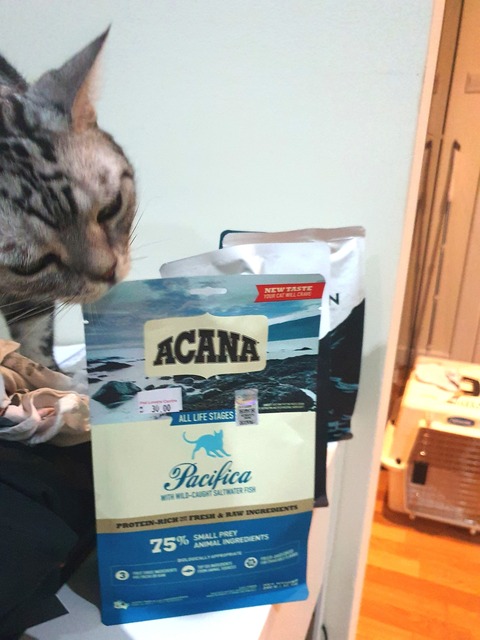 21-11-09-08-48-53-796_deco