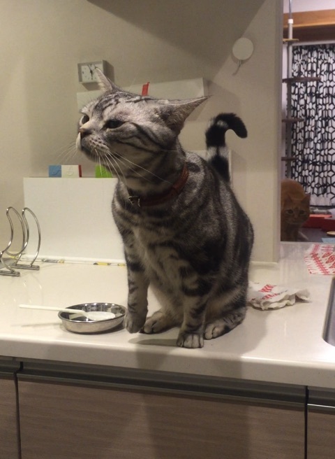 {5C556B51-8403-406E-8817-EB93987E8D6D:01}