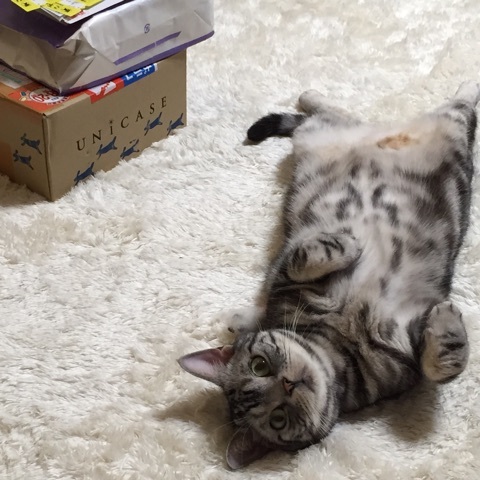 {BF5AD968-392A-4998-9EC8-E425664C0CD2:01}