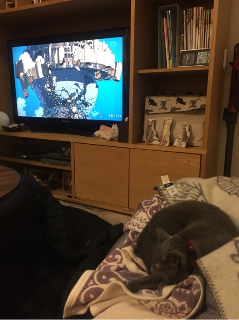 {A58BE1EB-B231-426A-B759-F115827AA926:01}