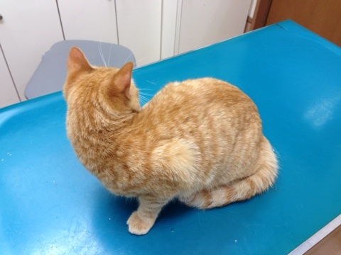 {BA037A9C-1739-48C9-B659-B2CD23CD05AD:01}