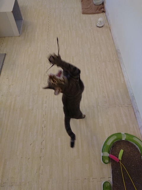 DSCPDC_0003_BURST20180715181915469_COVER