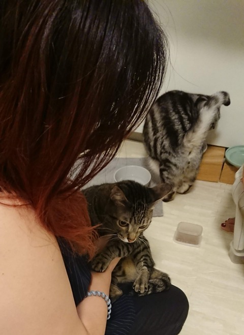 20-02-04-18-40-53-898_deco