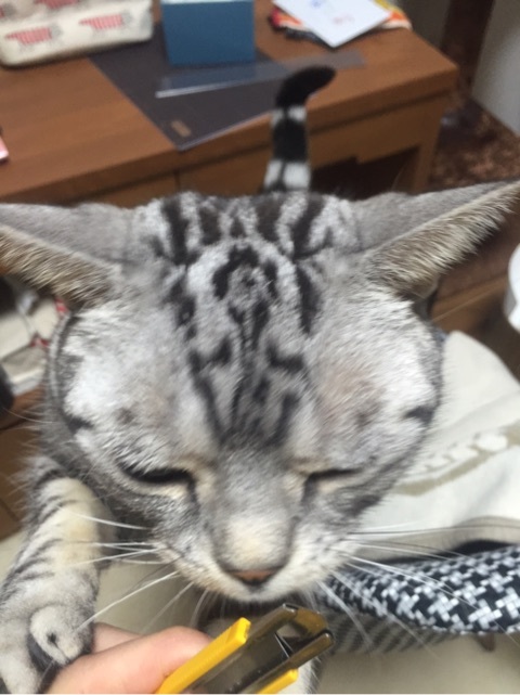 {6E6B4B6B-595C-497F-8B8D-240383407253}