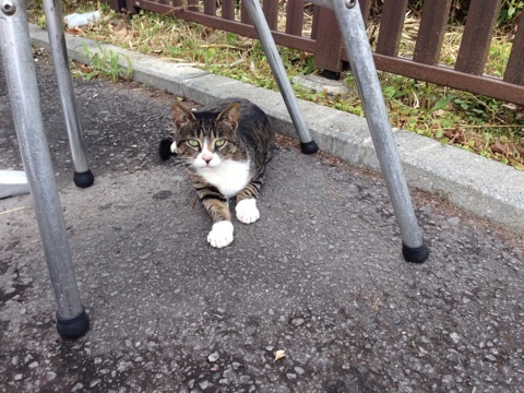 {BC580810-6463-474A-9B5C-DE08252817EC:01}