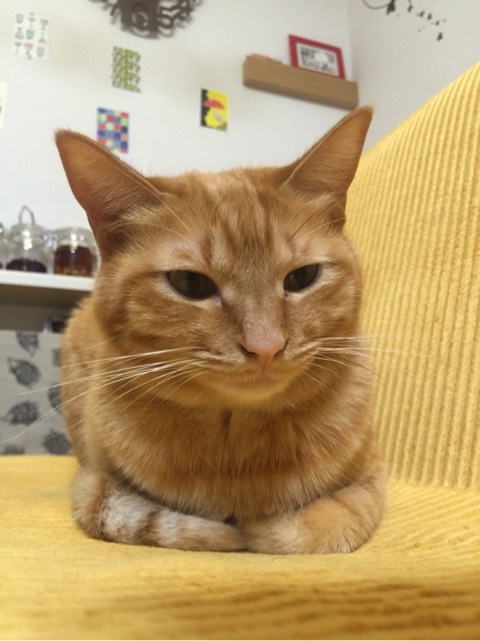 {799A4328-1C7B-4FC5-AA6B-BBFF5010E7C8:01}