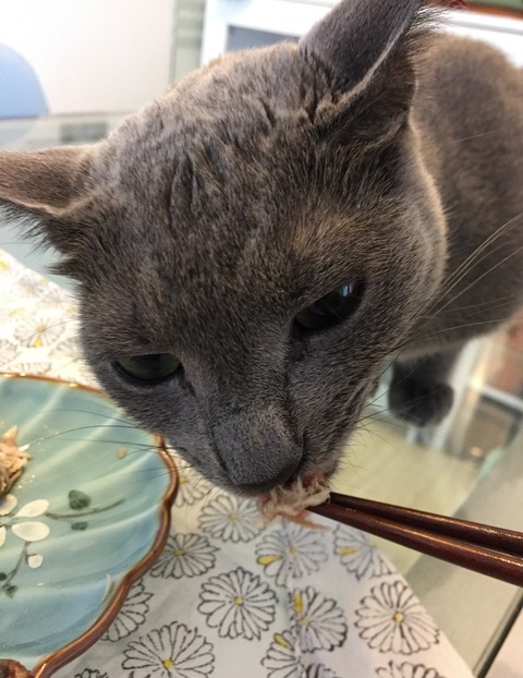 18-04-26-08-42-28-123_deco