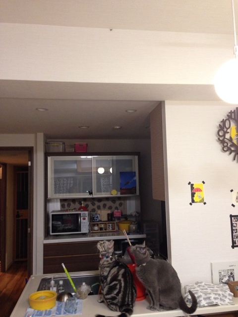 {1635284A-8795-4A69-9D69-1254E9844D45:01}