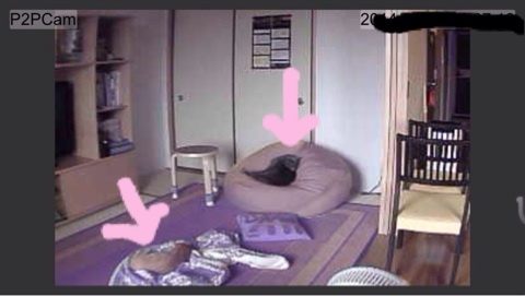 {5C82DF78-32ED-405C-BCA5-D0E58AE619F2:01}