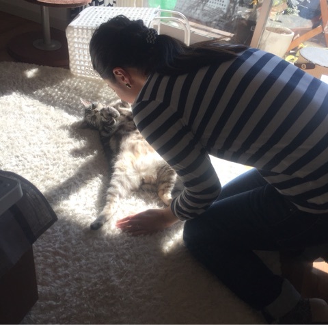 {F976797A-3C98-4899-BC04-AD49E6313C6E:01}