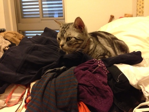 {D2611BB5-7CCF-4655-8CAC-641CCC0FBE8B:01}