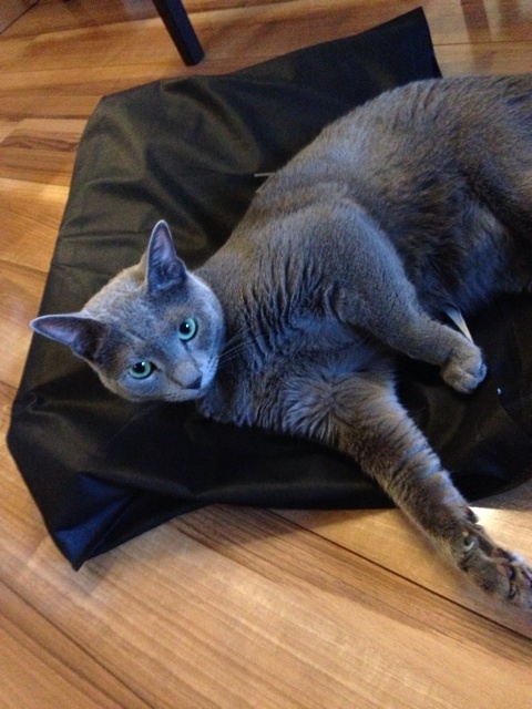 {73CF981A-F884-460D-BE6D-486007A16011:01}