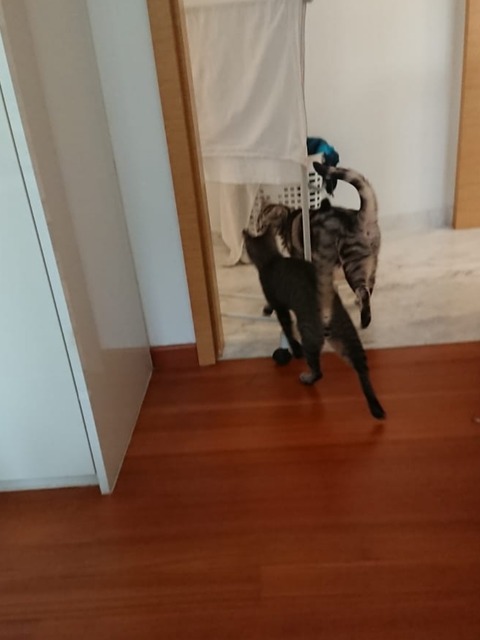 18-11-24-21-08-47-829_deco