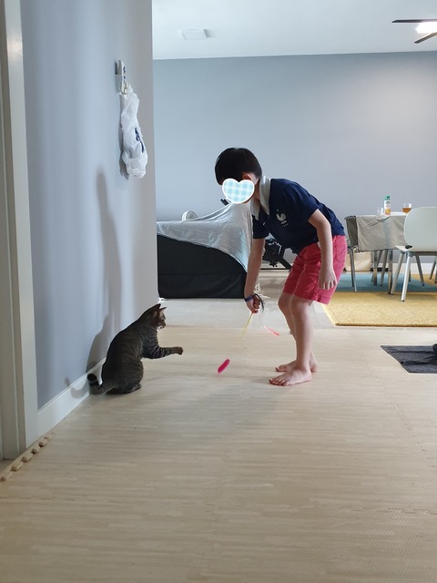 20-07-23-08-18-39-076_deco