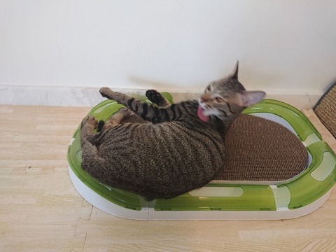 DSCPDC_0000_BURST20180409153932702