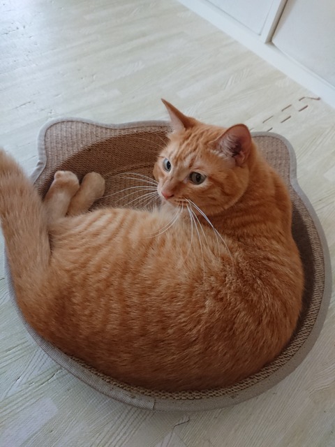 DSCPDC_0000_BURST20180323151220792