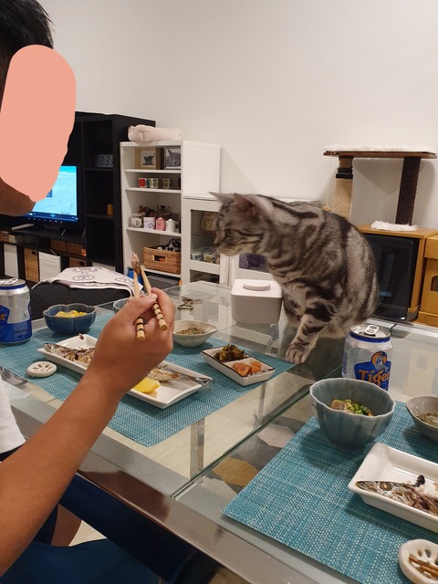 19-10-16-07-31-17-932_deco