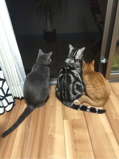 {EB16AA59-1AAB-471B-9286-CAA50830C9E5:01}