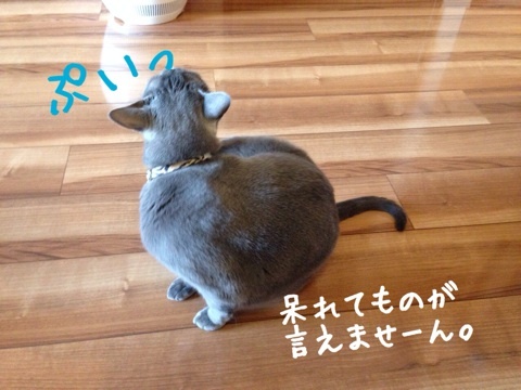 {F646DC03-2D8E-44FF-AF37-7A62D75383DC:01}