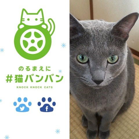 {EC0A8B8C-77AF-4852-9E4E-8862010EBAB7:01}