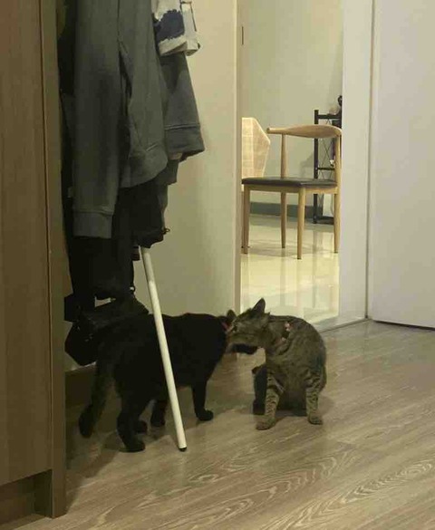 FullSizeRender