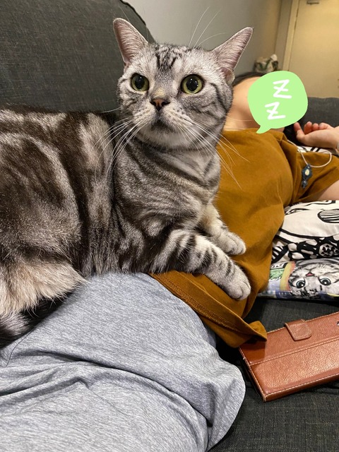 21-11-18-16-11-32-657_deco