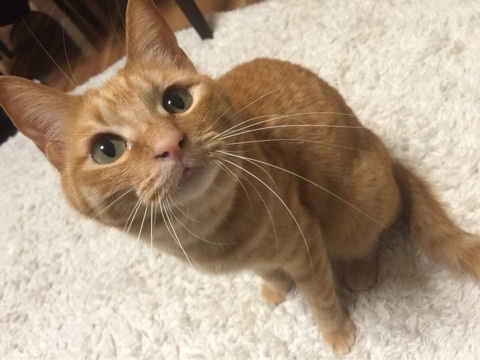 {24FD8F3A-05D1-430C-8B0C-083211E82B9D:01}