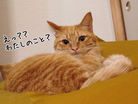 {0C0CFF70-594D-4F17-B3B6-28F696BB4EC3:01}