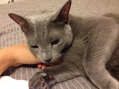 {51B235DE-1CD7-497B-908E-EC8DFB648E31:01}