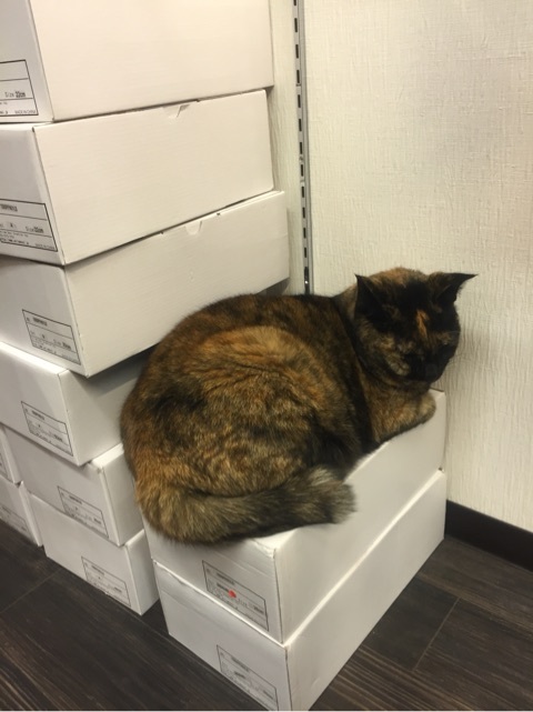 {DEB9820C-89DD-4AFE-88B2-77C951F5C88D:01}