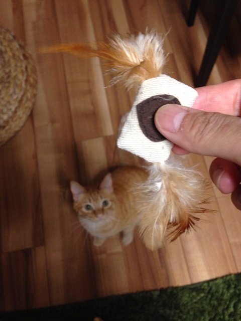 {E8AE0ABD-E687-4A2F-A037-D61778040CAF:01}