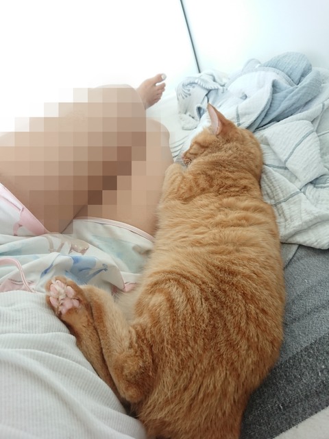 Point Blur_20190830_074008