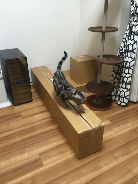 {2E2D0C68-DFF5-4731-A4C4-8C58A20C1DCB:01}