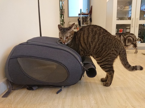 DSCPDC_0000_BURST20180926174022292