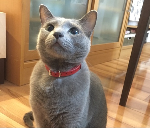 {B0078237-DF37-41E3-8113-73807A78964F:01}